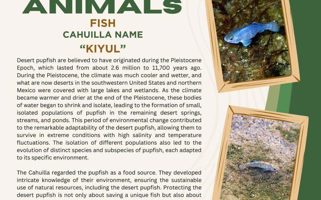 Animal of the April month