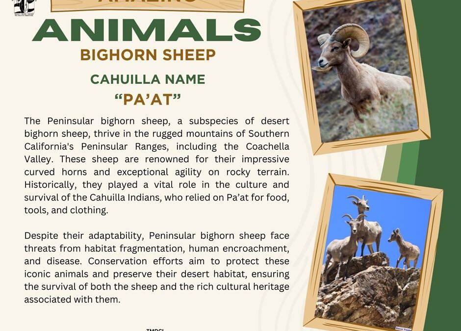 Animal of the May month