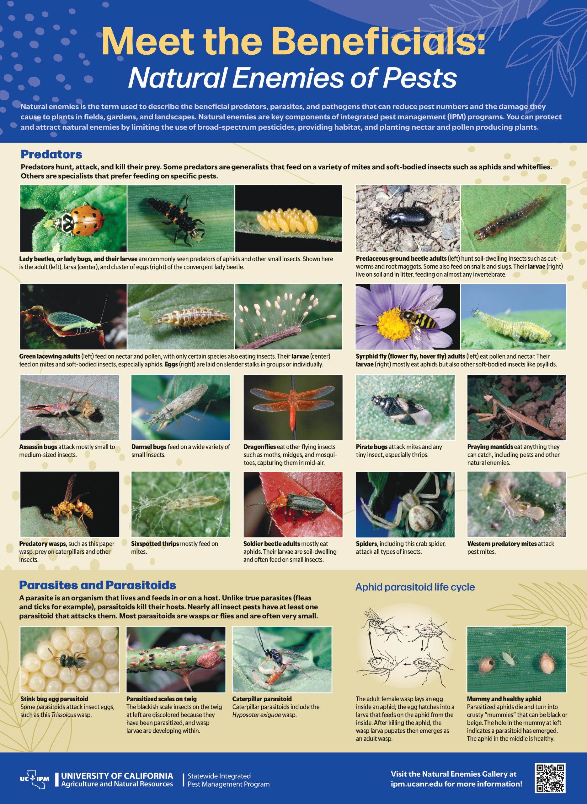 Natural Enemies Poster_page-0001